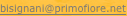 shapeimage_2_link_0